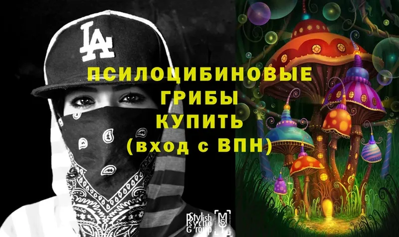 Псилоцибиновые грибы MAGIC MUSHROOMS  как найти закладки  Балахна 